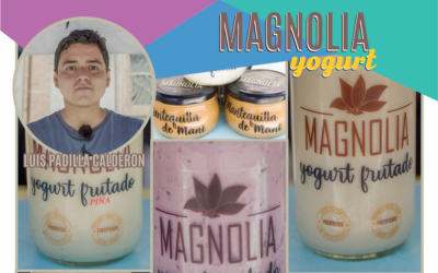 Magnolia Yogurt