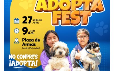 #ADOPTAFEST | La Municipalidad Provincial de Huaraz de acuerdo a la ordenanza municipal 217 está organizando la feria de adopción responsable este sábado 27 de abril desde las 9: 00 a.m.